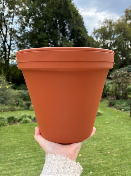 Terracotta Pot